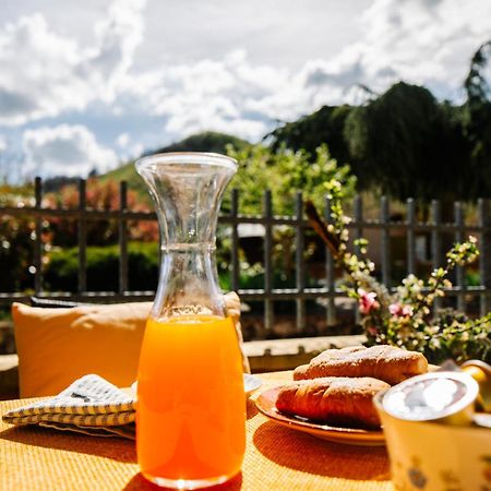 Selvicolle Country House Crispiero Dış mekan fotoğraf