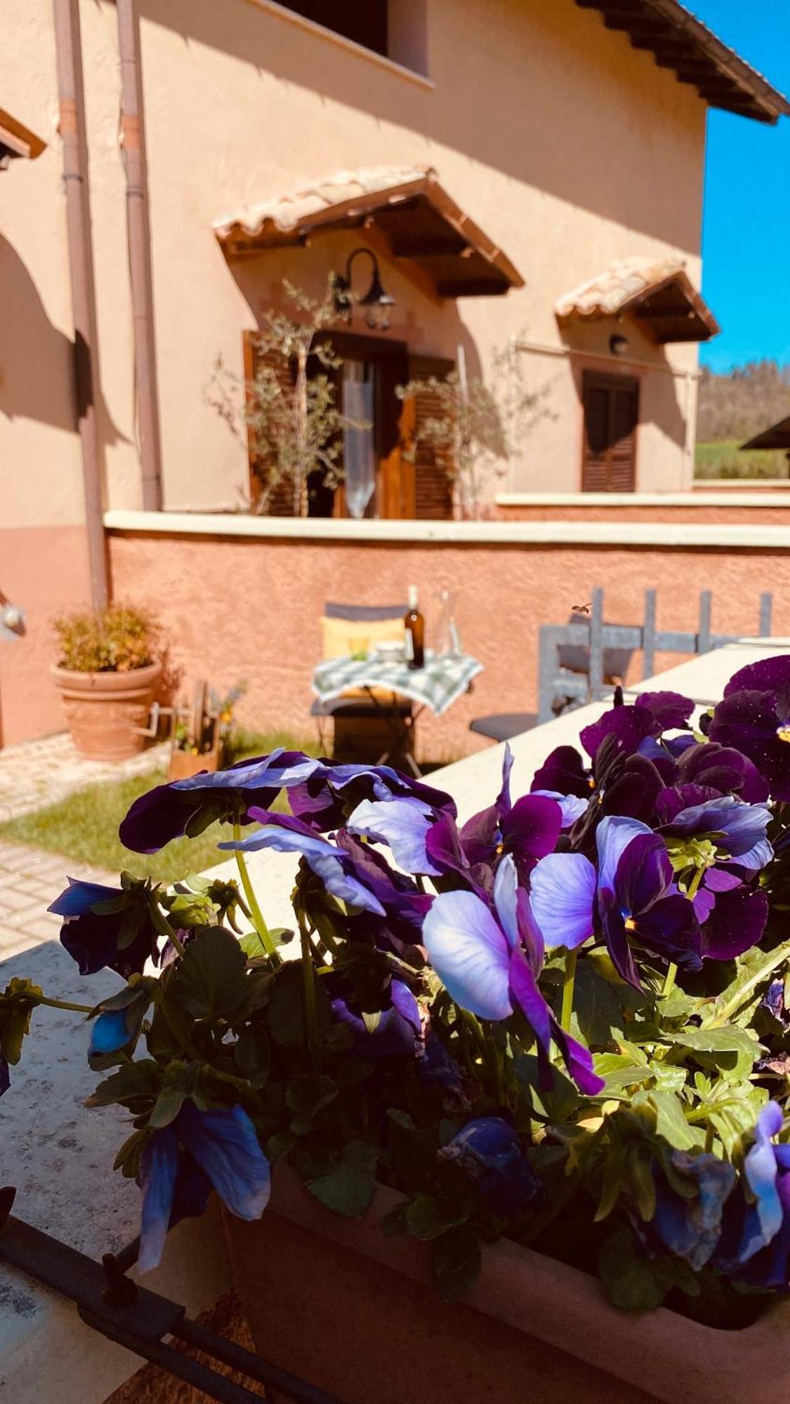 Selvicolle Country House Crispiero Dış mekan fotoğraf
